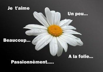 Ze T'aImEuH